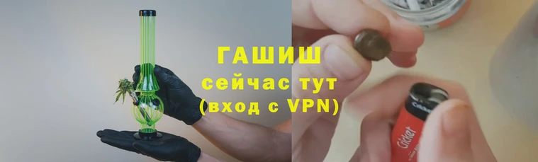 твердый Коряжма