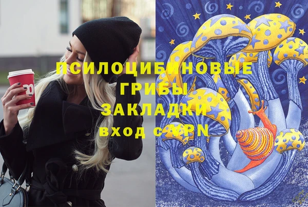 твердый Коряжма