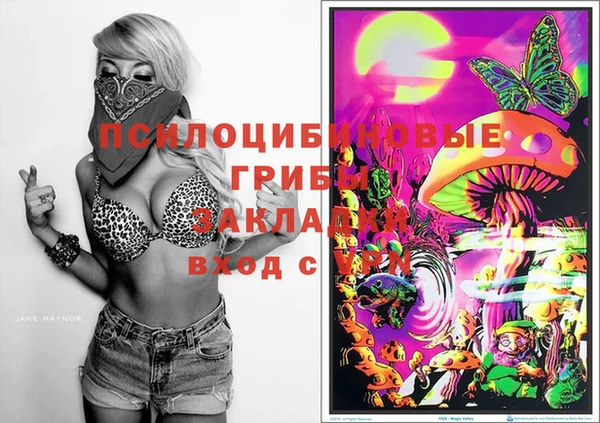 твердый Коряжма