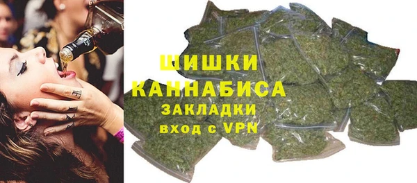 твердый Коряжма